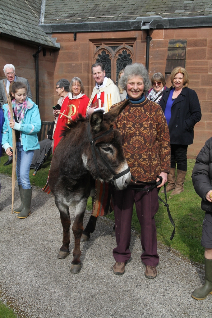 Lucius the donkey at St.James' Christleton  Lucius the donkey at St.James' Christleton