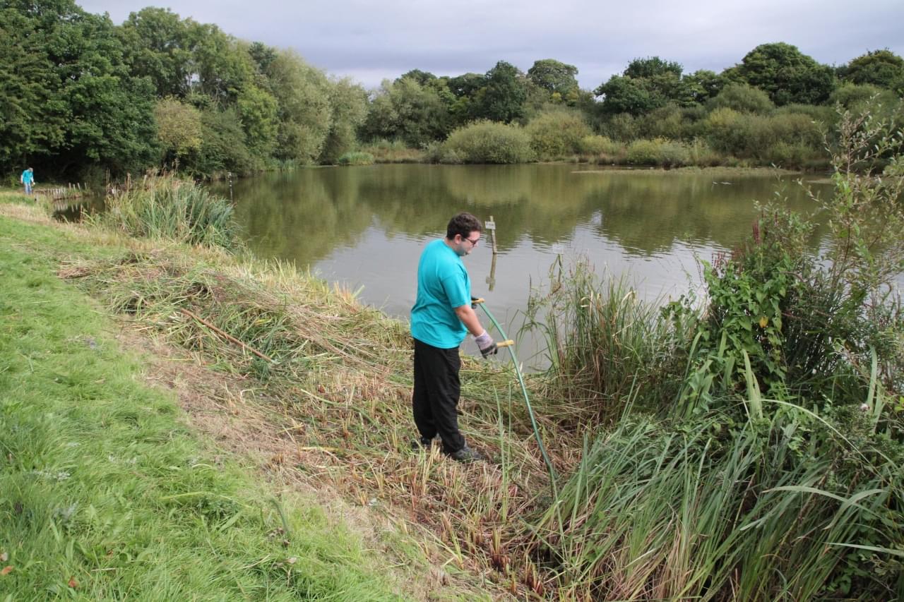 Andy scything the bank  Andy scything the bank