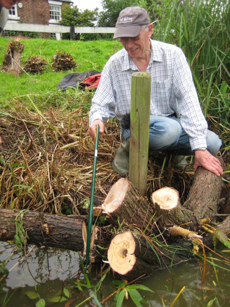 Removing Willow roots  Removing Willow roots