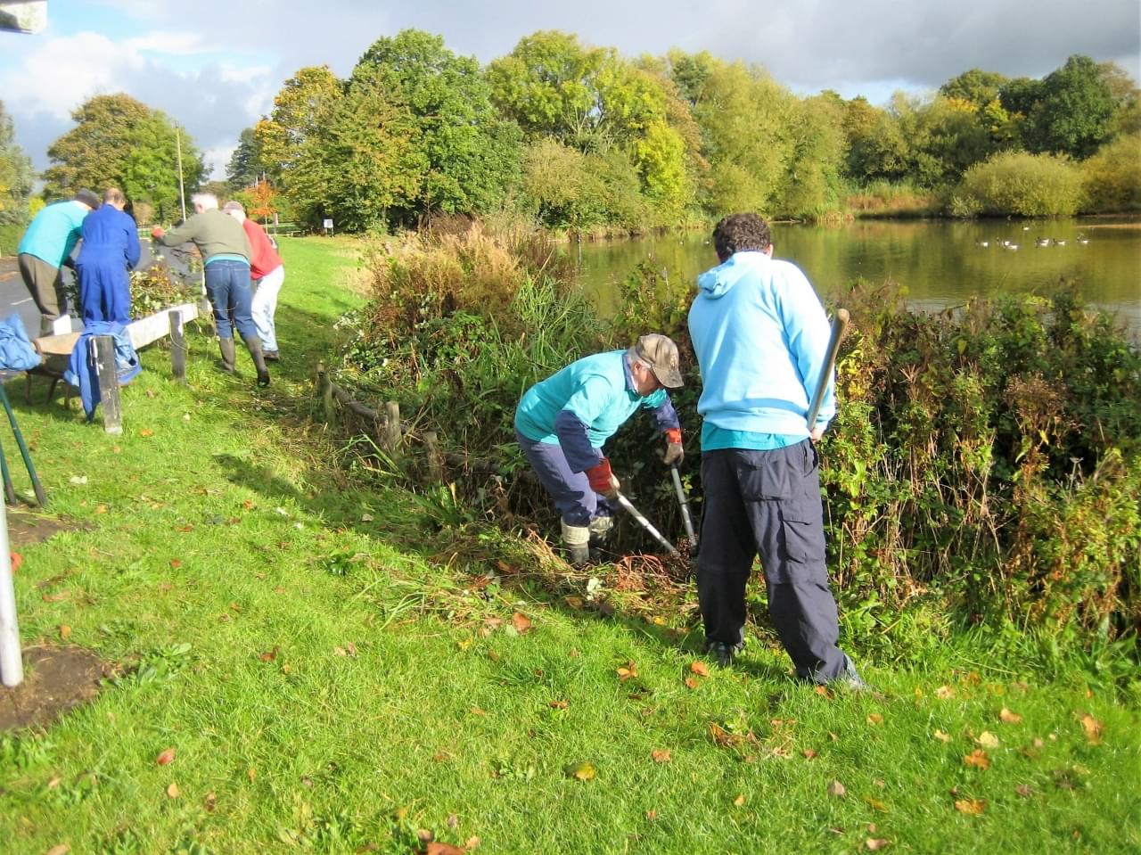 Removing Brambles  Removing Brambles