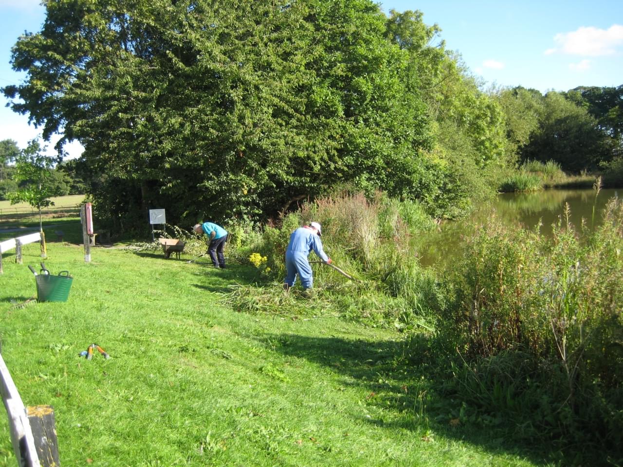Clearing Vegetation  Clearing Vegetation