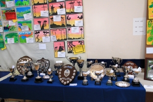Cups and Shields