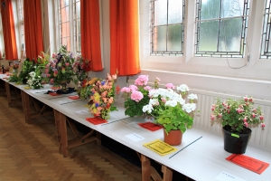 Floral