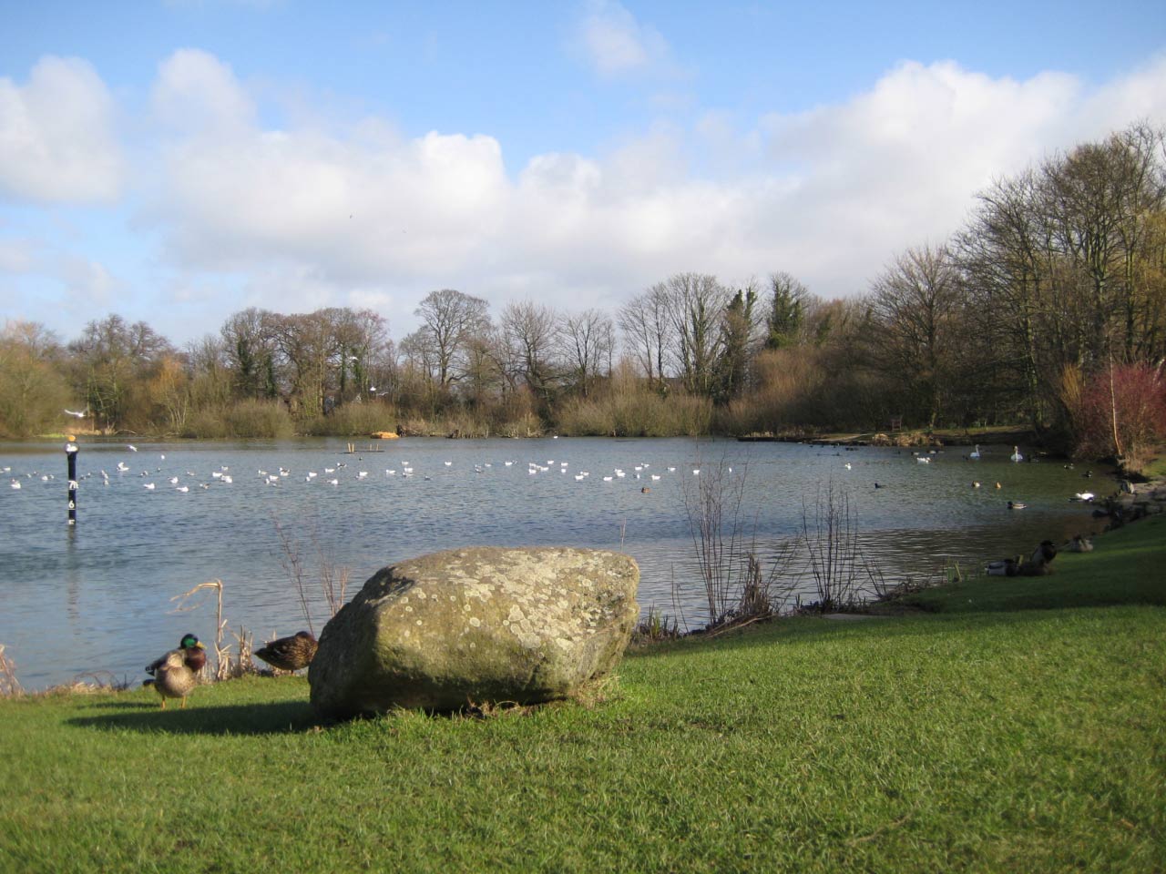 Christleton Pit  Christleton Pit