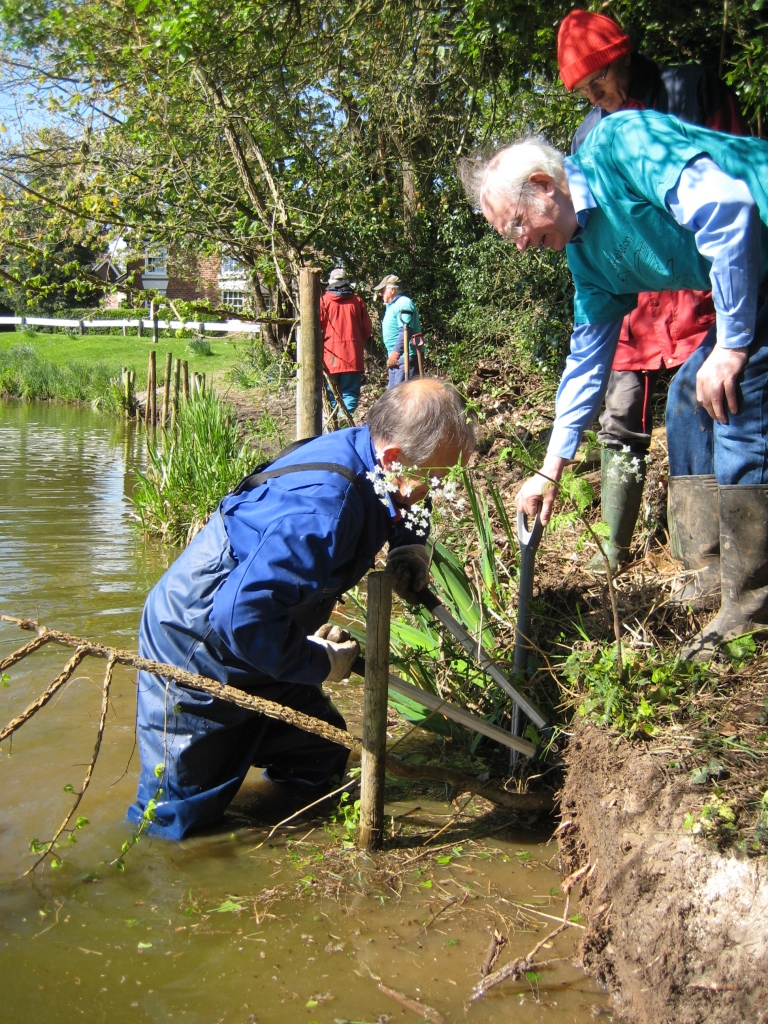 Strengthening Pit bankside, Christleton