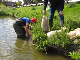 Conservation in Christleton