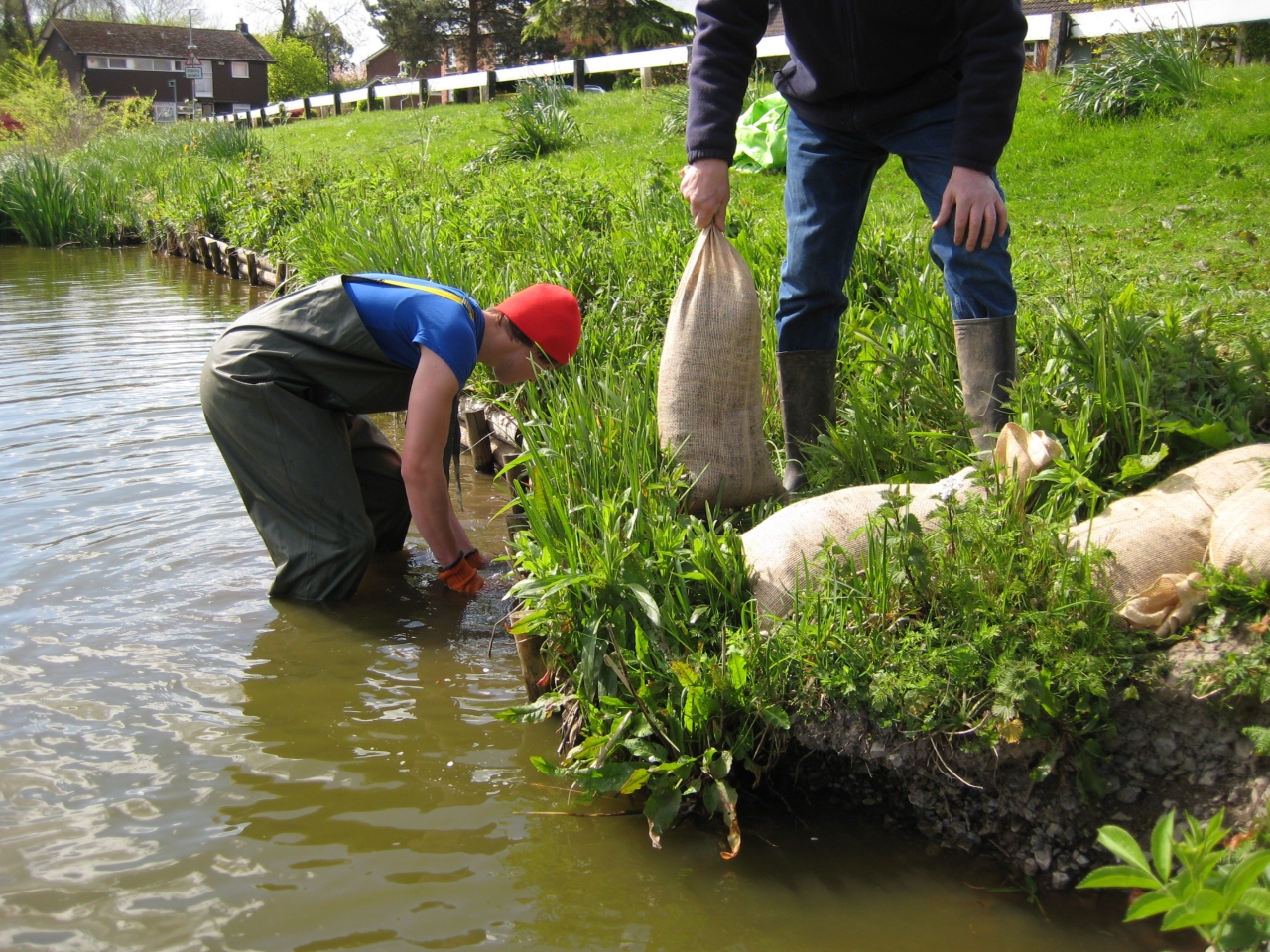 Conservation in Christleton