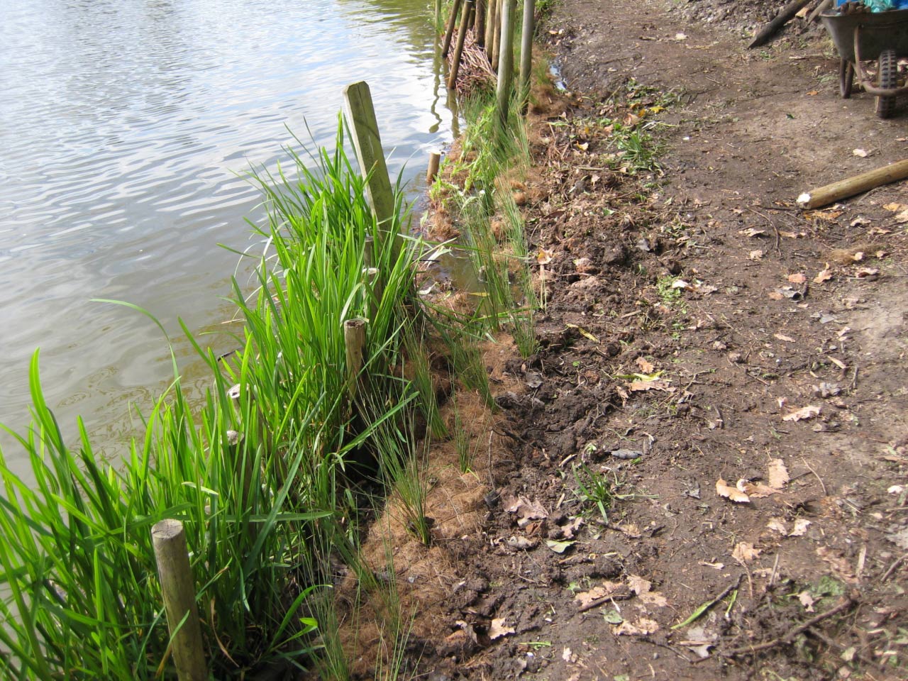 Conservation at Christleton Pit