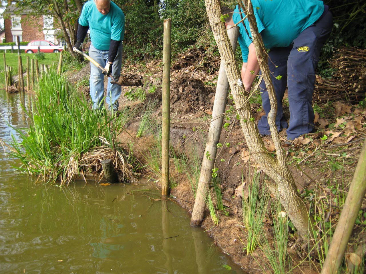 Conservation at Christleton Pit