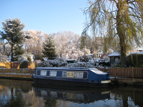 snow11