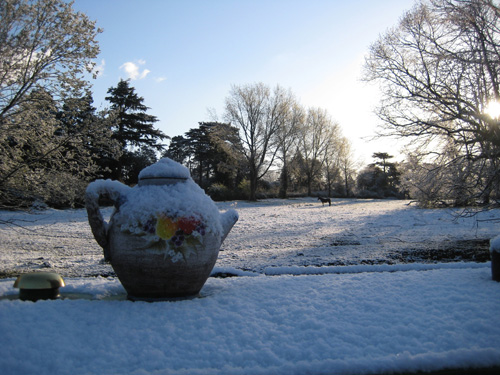 snow16