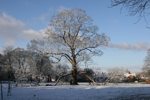 snow17