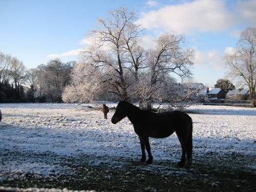 snow18