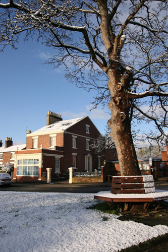 snow21