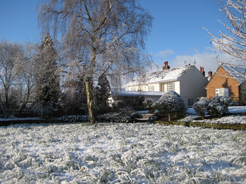 snow32