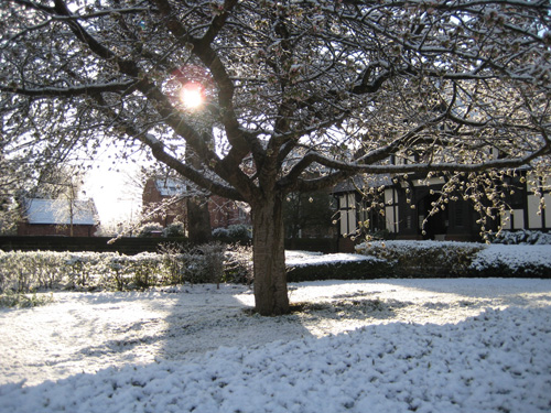 snow34