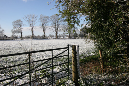 snow37