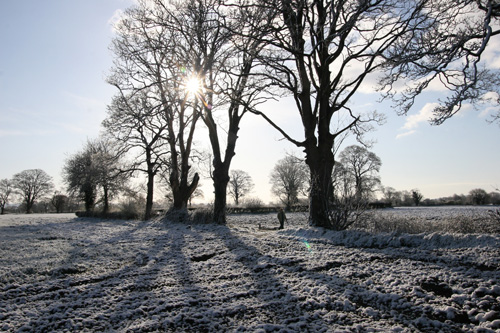 snow38