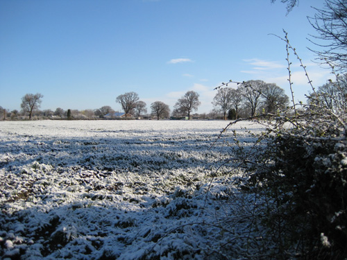 snow39