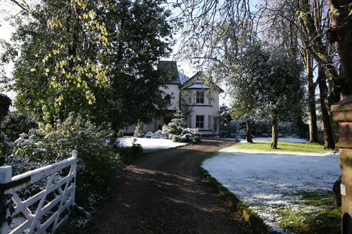 snow44