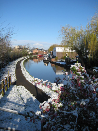 snow48