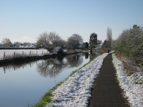 snow55