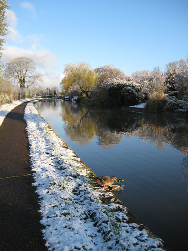 snow9
