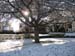 snow34