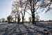 snow38