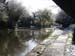 snow49