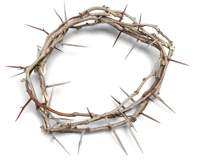 Crown of thorns