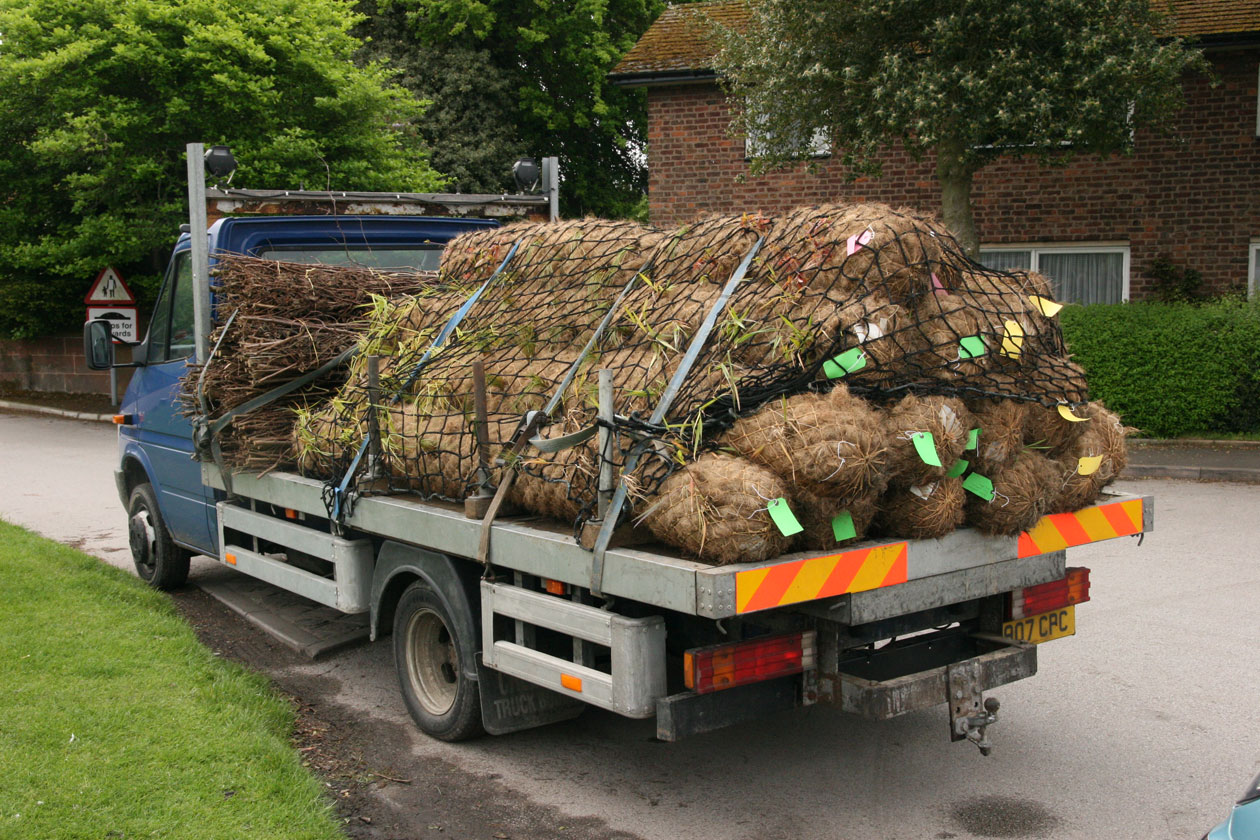 Christleton Pit  Christleton Pit