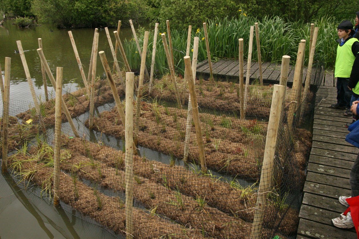 Christleton Pit  Christleton Pit