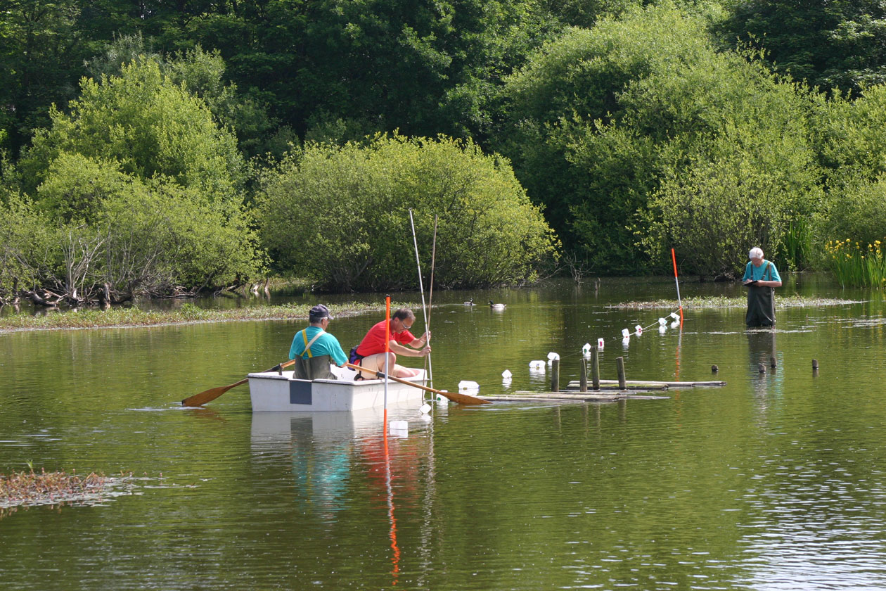 Christleton Pit Group  Christleton Pit Group