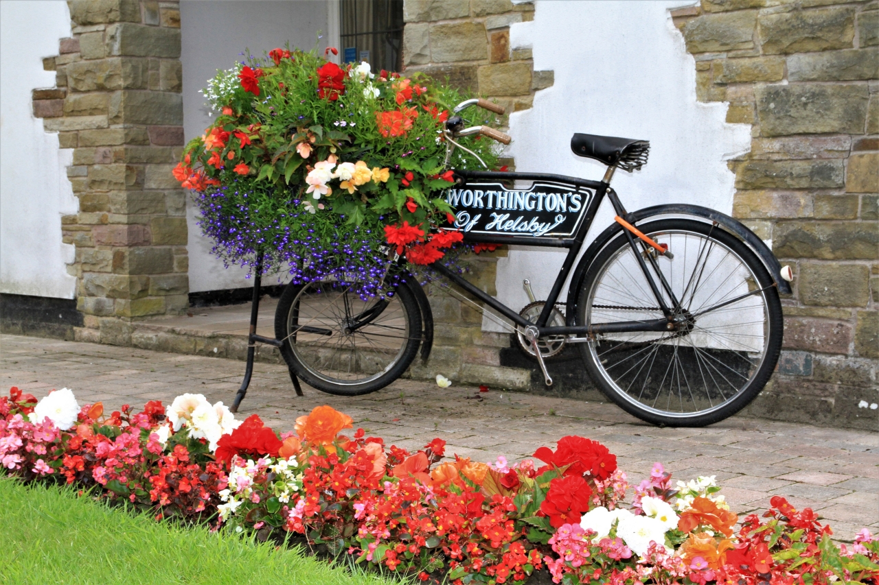 Hanging Basket Competition