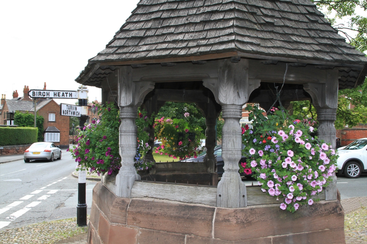 Hanging Basket Competition