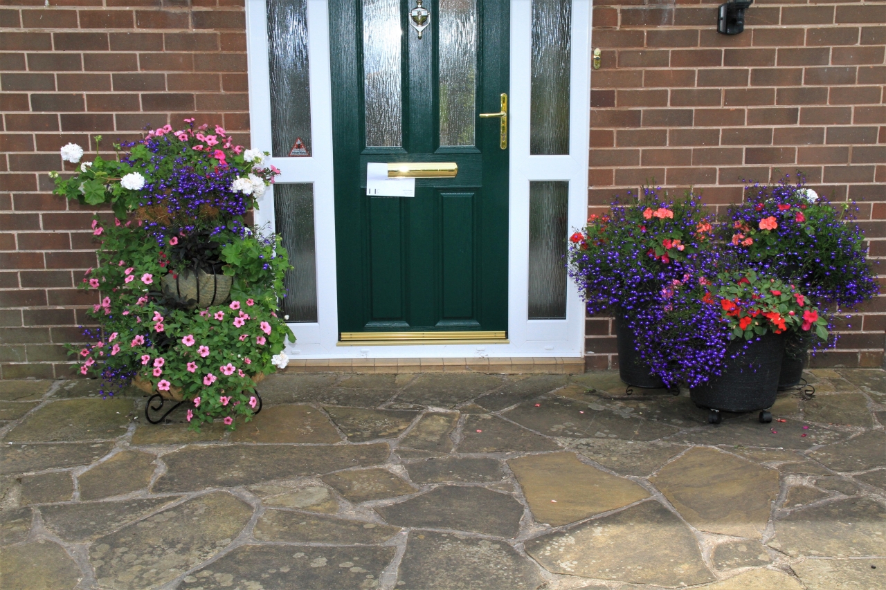 Hanging Basket Competition