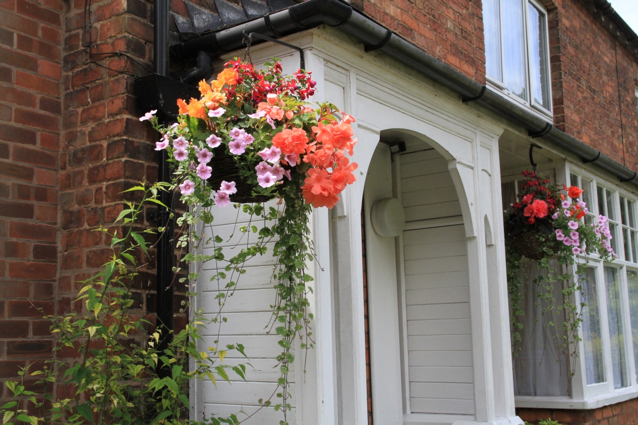 Hanging Basket Competition