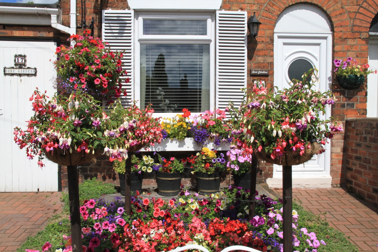 Hanging Basket Competition
