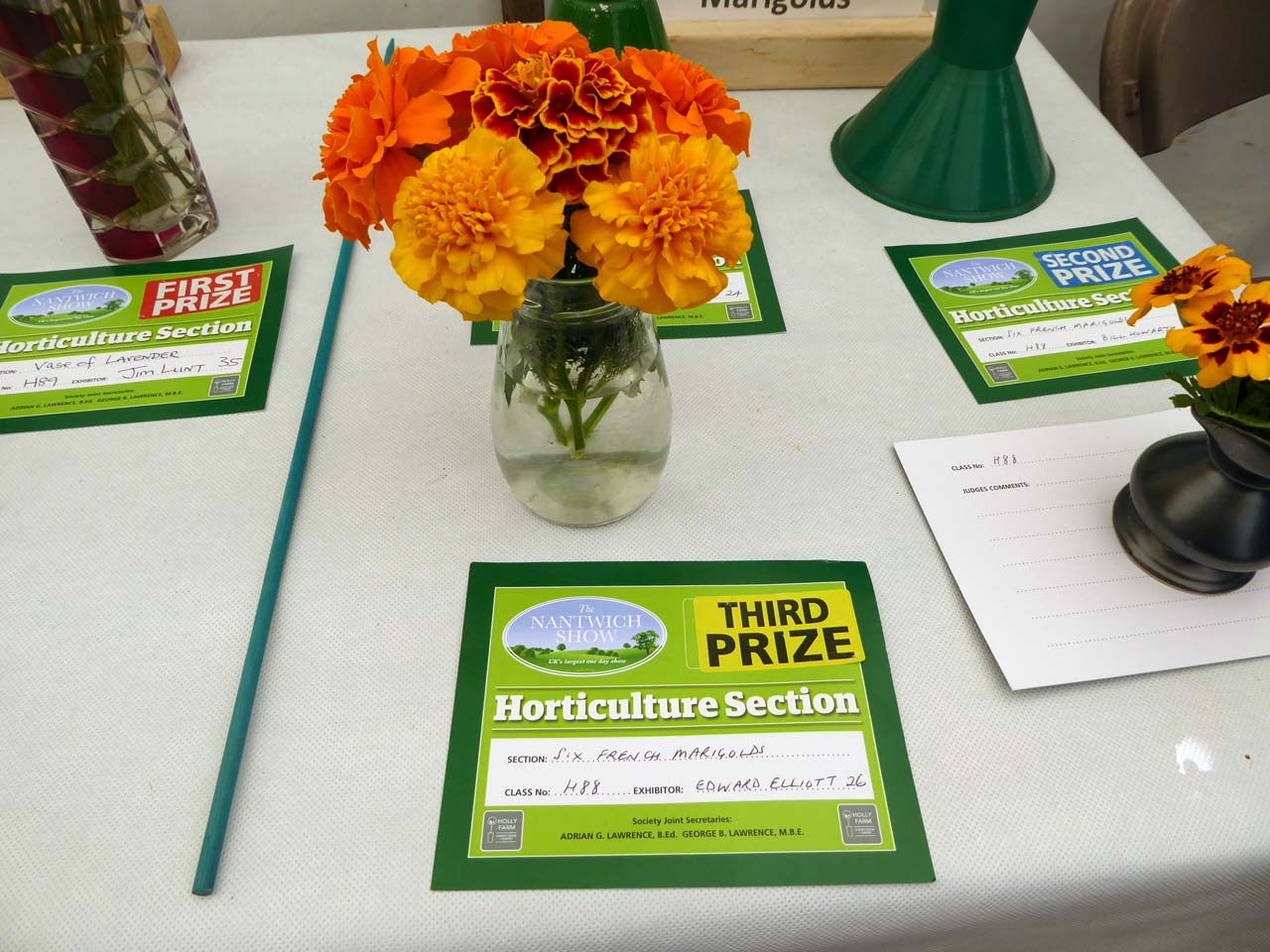 Six French Marigolds - Edward Elliott