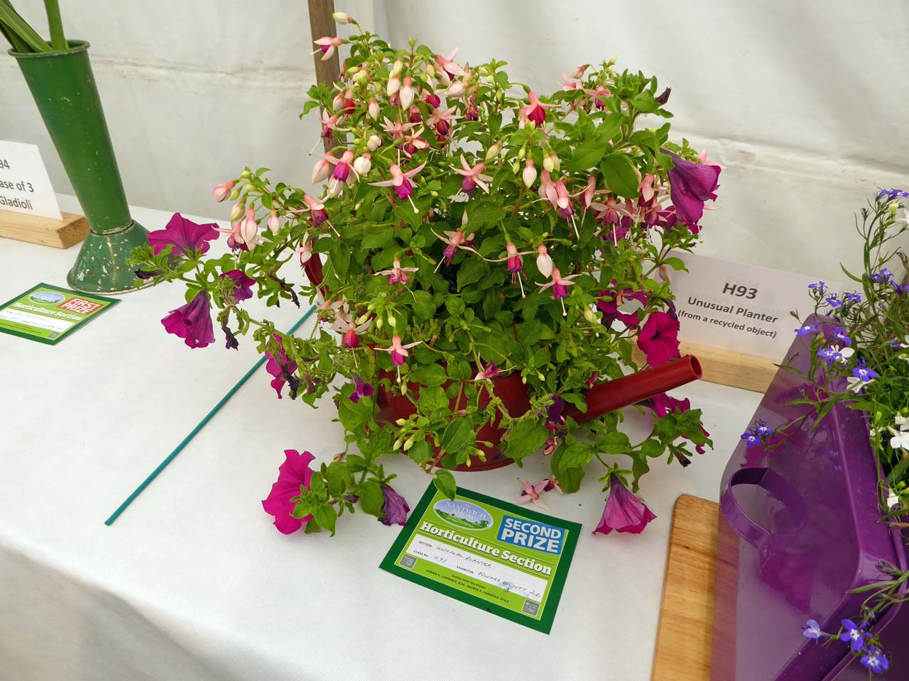 Unusual Planter - Edward Elliott