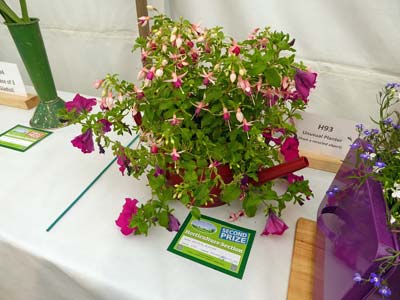 Unusual Planter - Edward Elliott