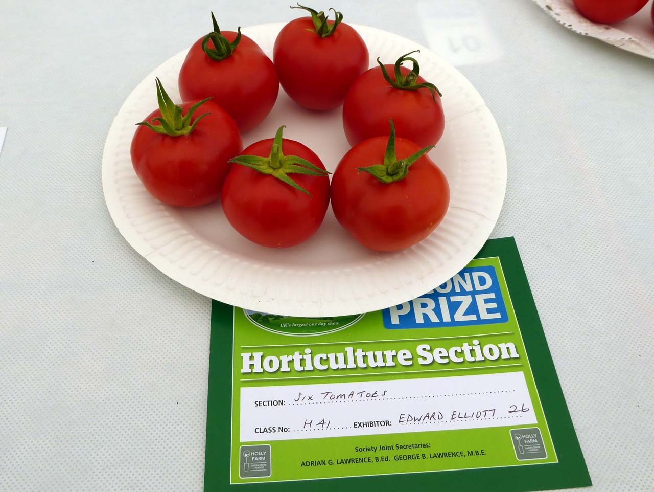 Siz Tomatoes - Edward Elliott