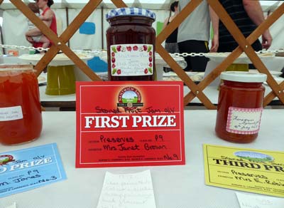 Victoria Plum Jam - Janet Brown