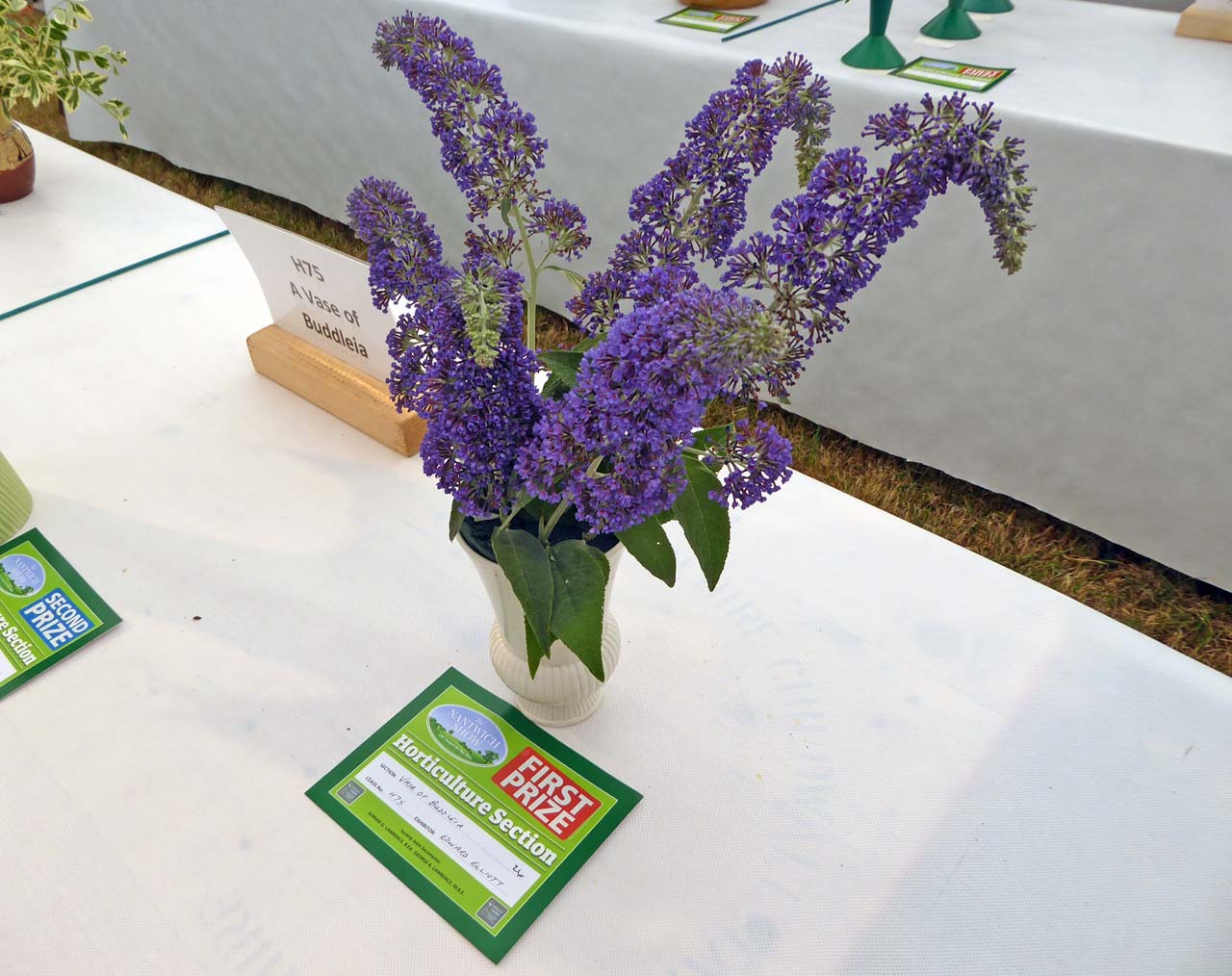 Vase of Buddleia - Edward Elliott