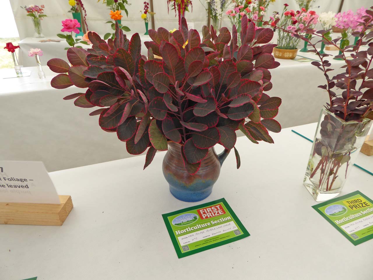 Vase Foliage Purple Leaf Shrub - Edward Elliott