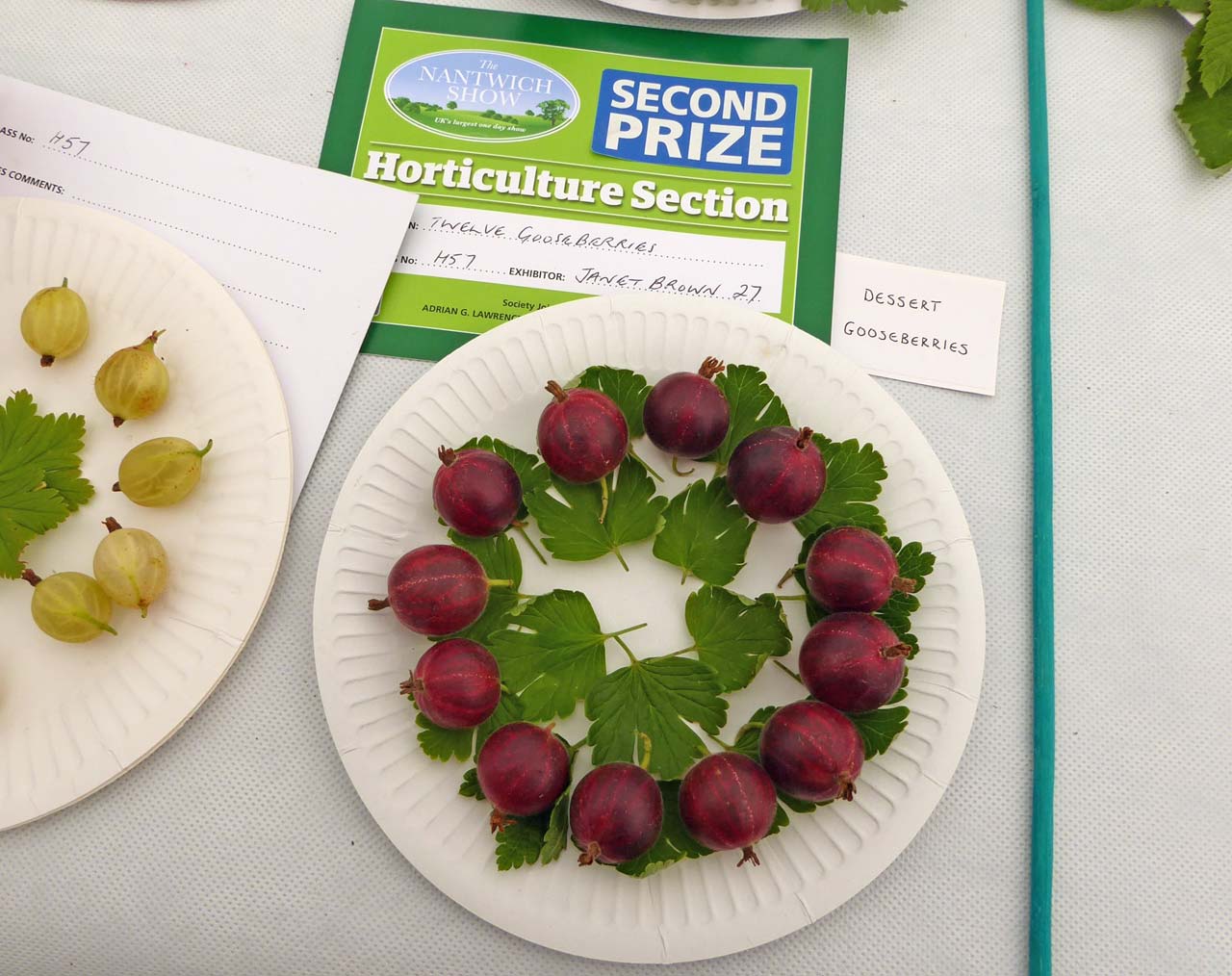 12 Gooseberries - Janet Brown