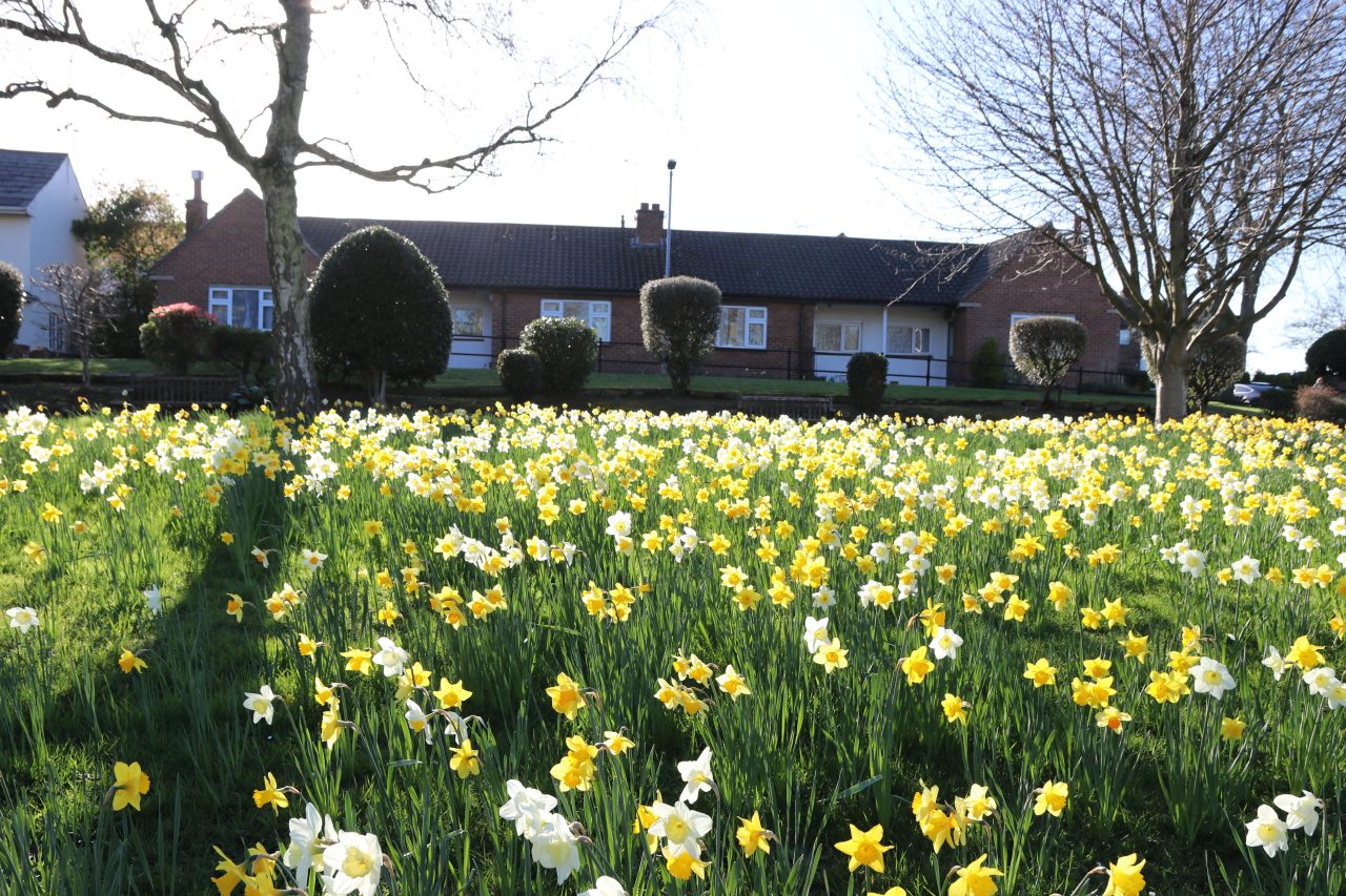 The Square  The Square