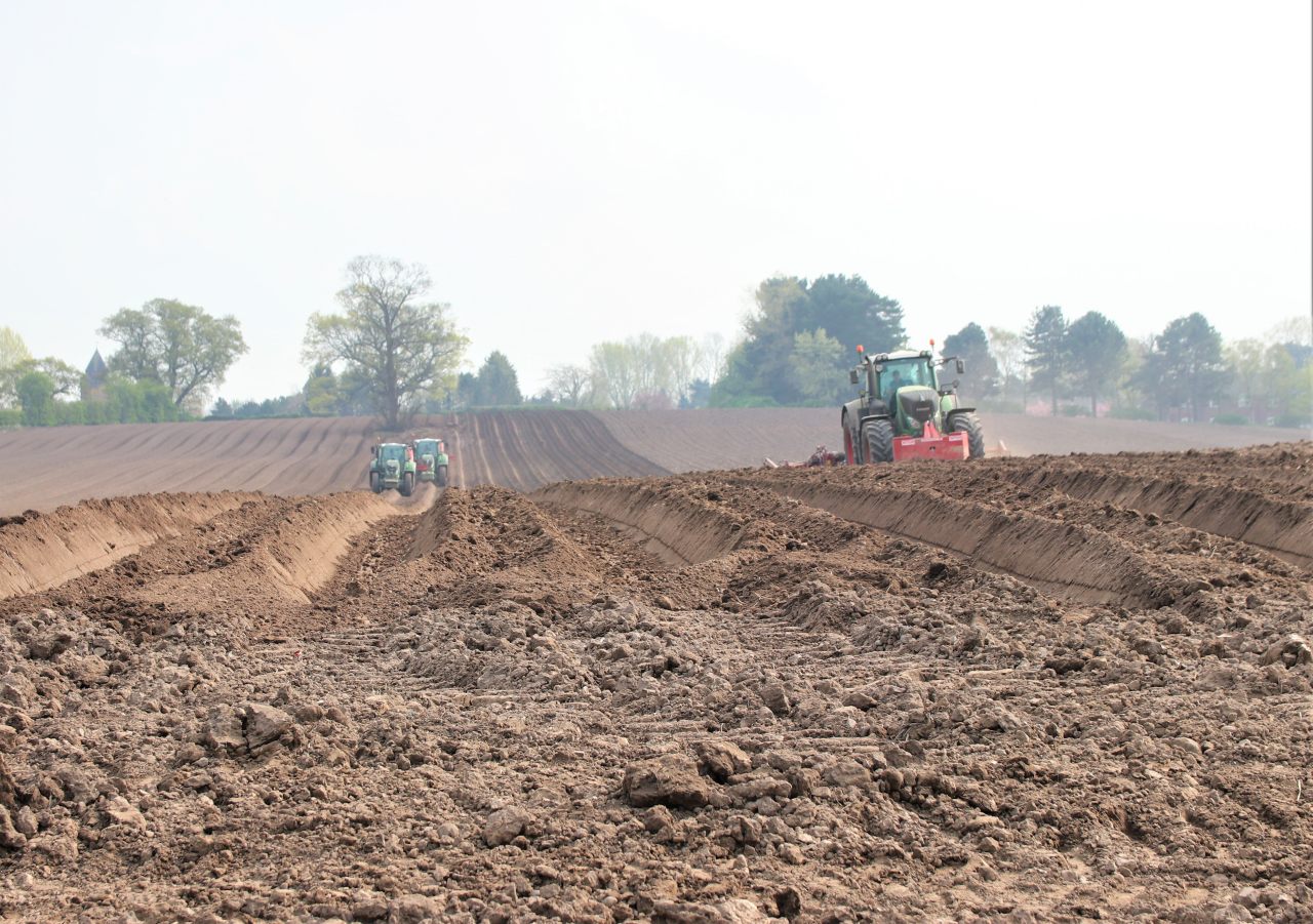 Ploughing  Ploughing