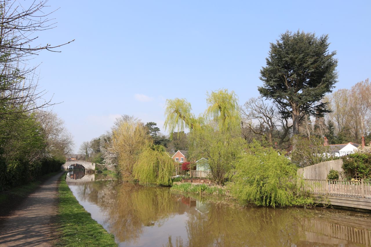 The Canal  The Canal